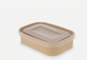 kraft-maltijdbakjes-500ml- bozikova